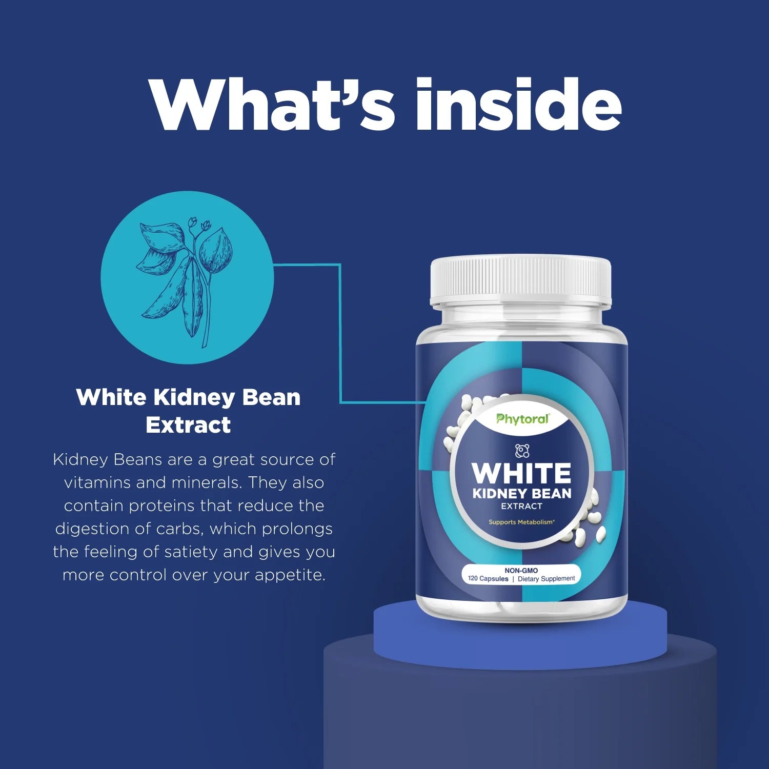 White Kidney Bean Extract Capsules - Ultra High Potency Optimized Extract for Enhanced Energy Digestion and AMPK Activation - Vegan Non-Gmo Gluten Free Fiber and Antioxidant Rich Starch Inhibitor